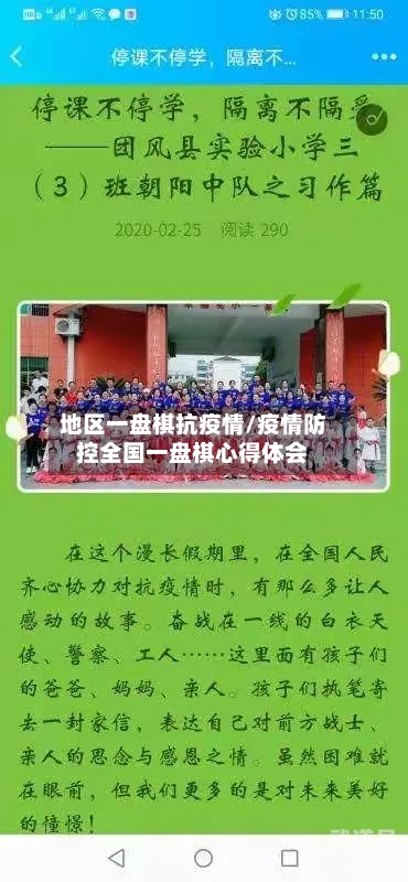 地区一盘棋抗疫情/疫情防控全国一盘棋心得体会