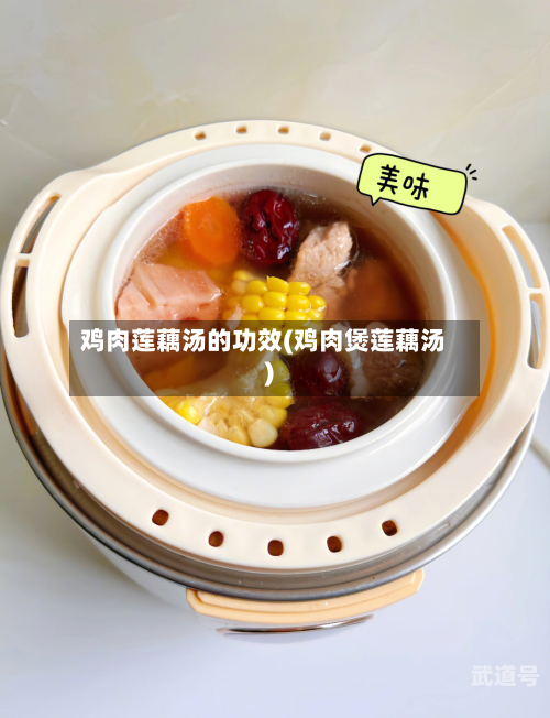 鸡肉莲藕汤的功效(鸡肉煲莲藕汤)