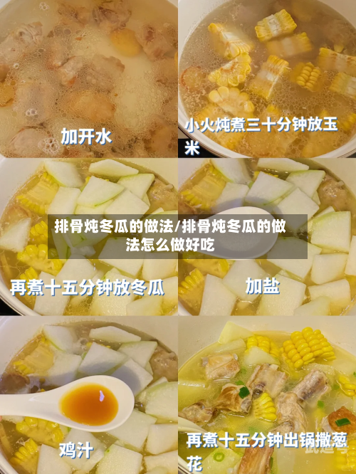 排骨炖冬瓜的做法/排骨炖冬瓜的做法怎么做好吃