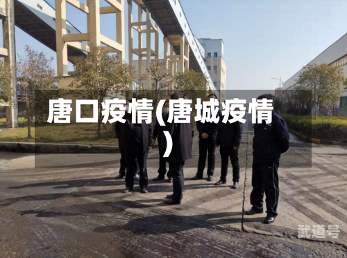 唐口疫情(唐城疫情)