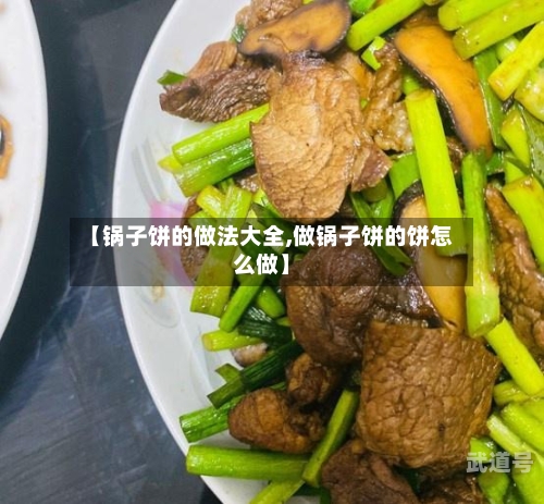【锅子饼的做法大全,做锅子饼的饼怎么做】