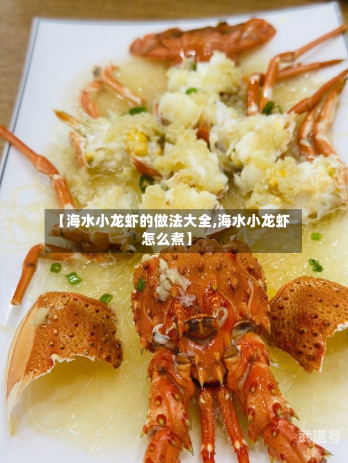 【海水小龙虾的做法大全,海水小龙虾怎么煮】