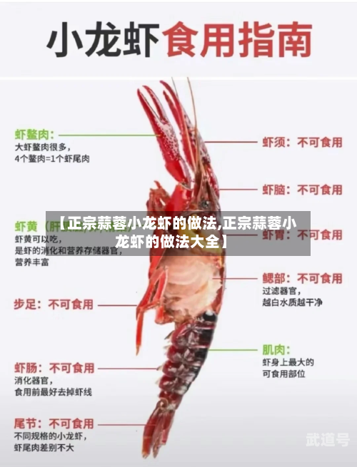 【正宗蒜蓉小龙虾的做法,正宗蒜蓉小龙虾的做法大全】