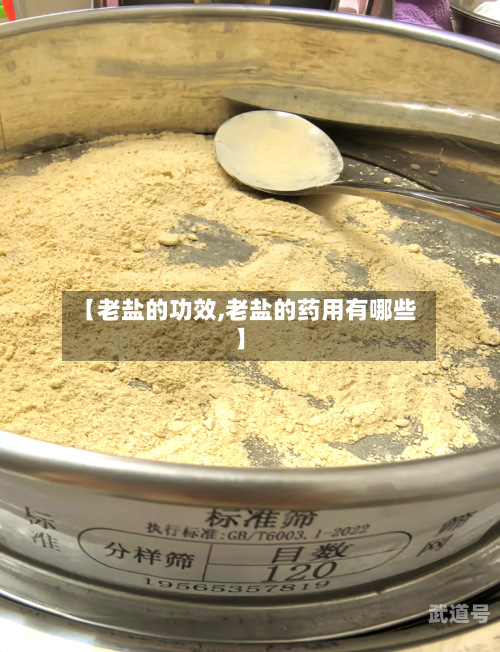 【老盐的功效,老盐的药用有哪些】