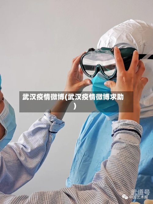 武汉疫情微博(武汉疫情微博求助)-第3张图片