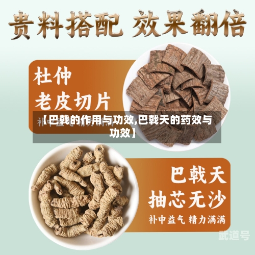 【巴戟的作用与功效,巴戟天的药效与功效】