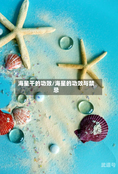 海星干的功效/海星的功效与禁忌
