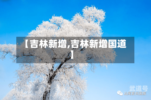 【吉林新增,吉林新增国道】