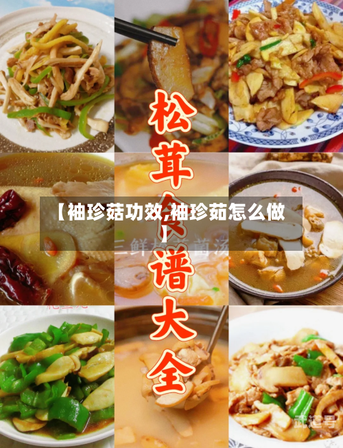 【袖珍菇功效,袖珍茹怎么做】