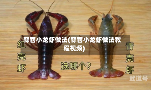 蒜蓉小龙虾做法(蒜蓉小龙虾做法教程视频)