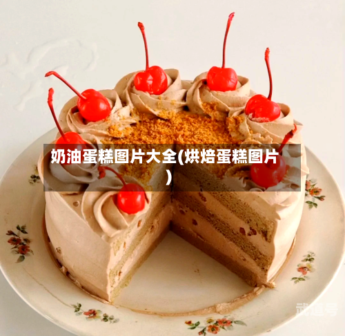 奶油蛋糕图片大全(烘焙蛋糕图片)