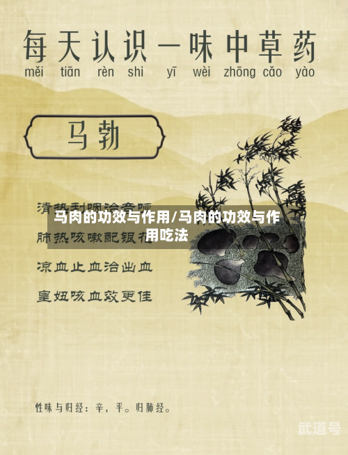 马肉的功效与作用/马肉的功效与作用吃法