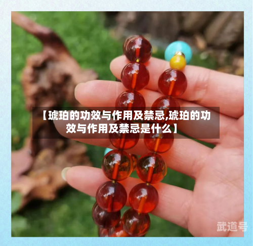 【琥珀的功效与作用及禁忌,琥珀的功效与作用及禁忌是什么】