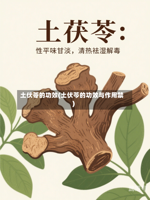 土伏苓的功效(土伏芩的功效与作用禁)