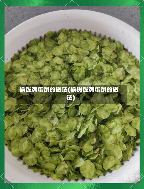 榆钱鸡蛋饼的做法(榆树钱鸡蛋饼的做法)
