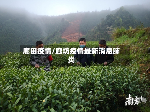 廊田疫情/廊坊疫情最新消息肺炎