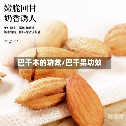 巴干木的功效/巴干果功效