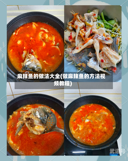 麻辣鱼的做法大全(做麻辣鱼的方法视频教程)