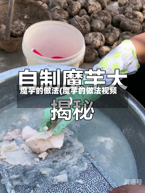 魔芋的做法(魔芋的做法视频)