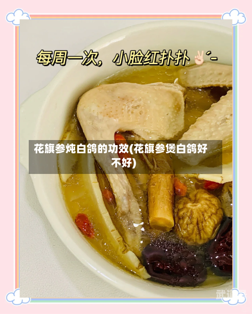 花旗参炖白鸽的功效(花旗参煲白鸽好不好)