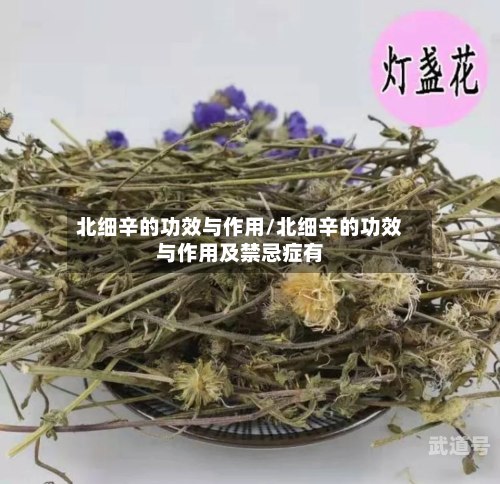北细辛的功效与作用/北细辛的功效与作用及禁忌症有
