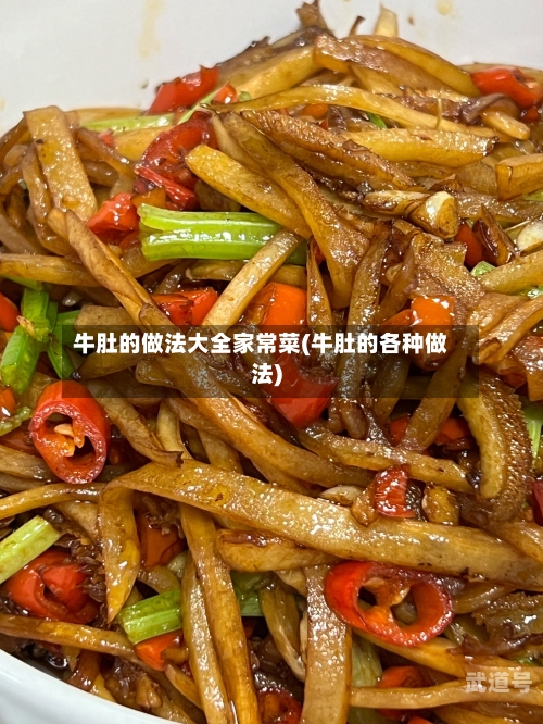 牛肚的做法大全家常菜(牛肚的各种做法)