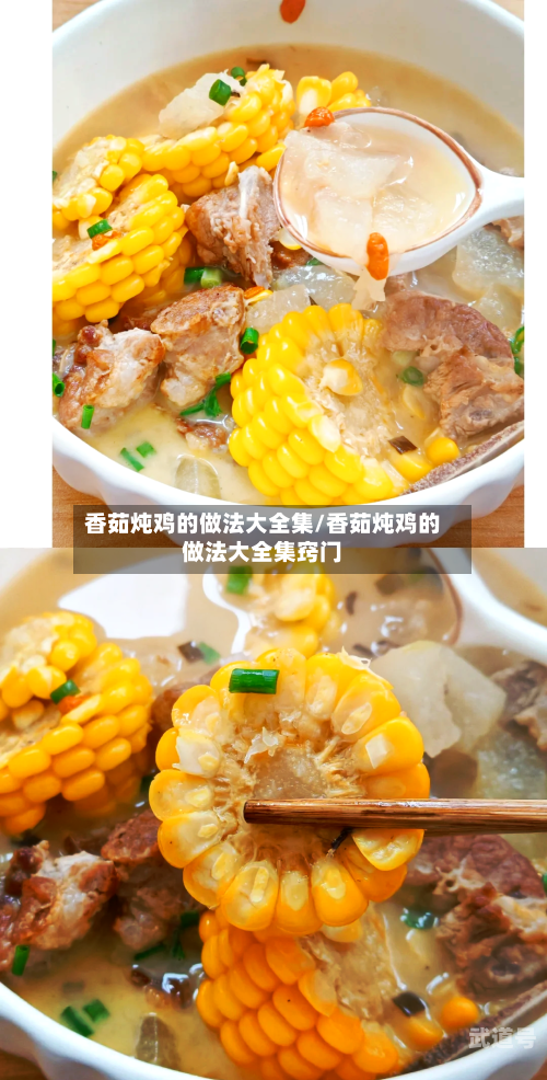 香茹炖鸡的做法大全集/香茹炖鸡的做法大全集窍门
