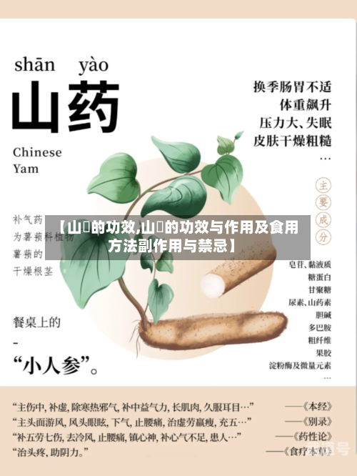 【山嵖的功效,山橿的功效与作用及食用方法副作用与禁忌】