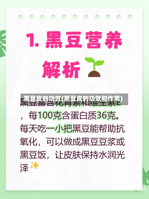 黑豆皮的功效(黑豆皮的功效和作用)