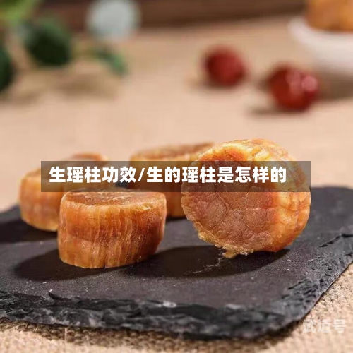生瑶柱功效/生的瑶柱是怎样的