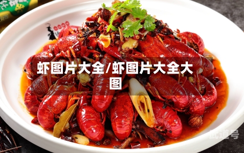 虾图片大全/虾图片大全大图