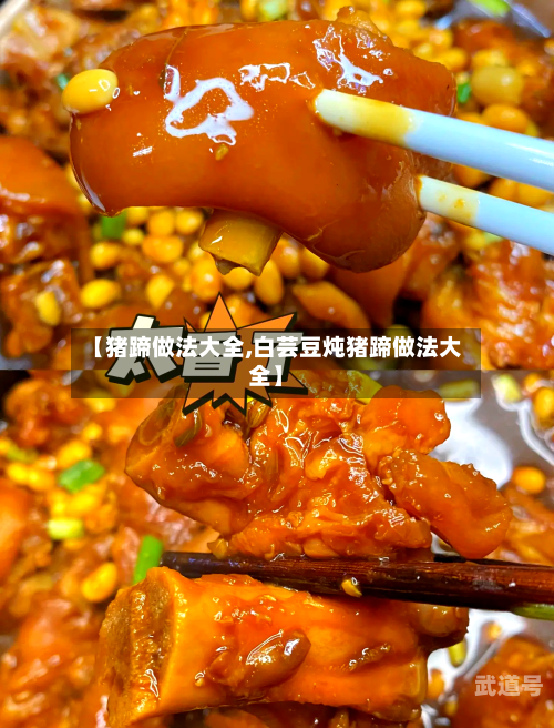 【猪蹄做法大全,白芸豆炖猪蹄做法大全】