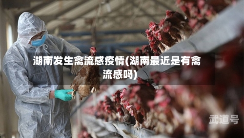 湖南发生禽流感疫情(湖南最近是有禽流感吗)-第3张图片