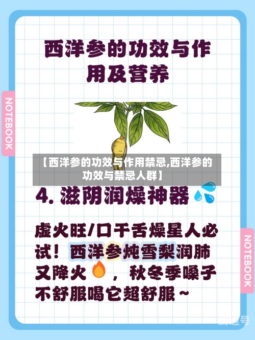 【西洋参的功效与作用禁忌,西洋参的功效与禁忌人群】