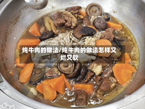 炖牛肉的做法/炖牛肉的做法怎样又烂又软
