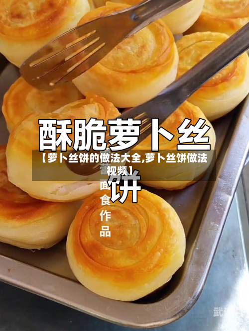 【萝卜丝饼的做法大全,萝卜丝饼做法视频】