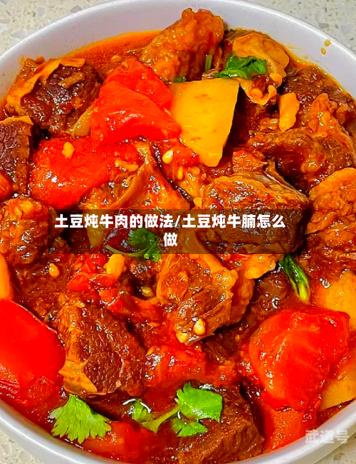 土豆炖牛肉的做法/土豆炖牛腩怎么做