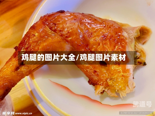鸡腿的图片大全/鸡腿图片素材