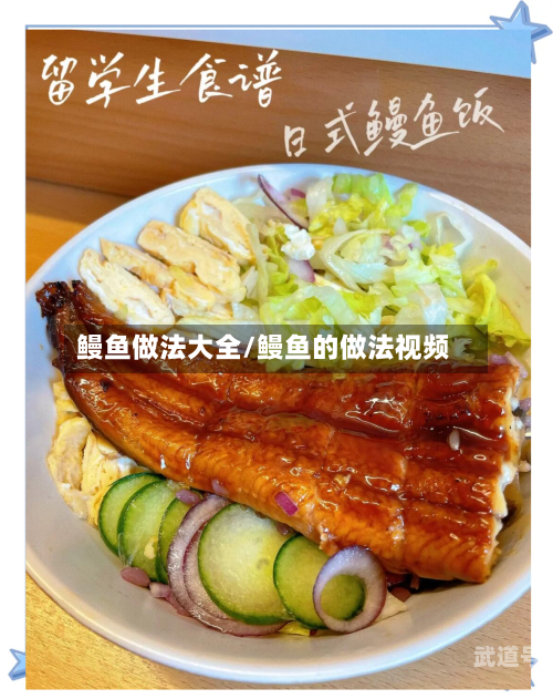 鳗鱼做法大全/鳗鱼的做法视频