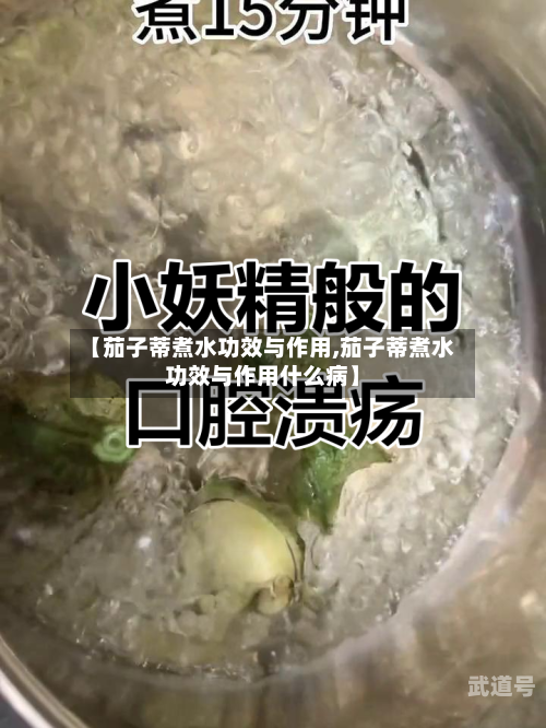 【茄子蒂煮水功效与作用,茄子蒂煮水功效与作用什么病】