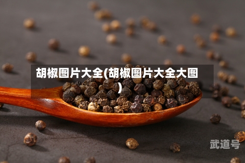 胡椒图片大全(胡椒图片大全大图)