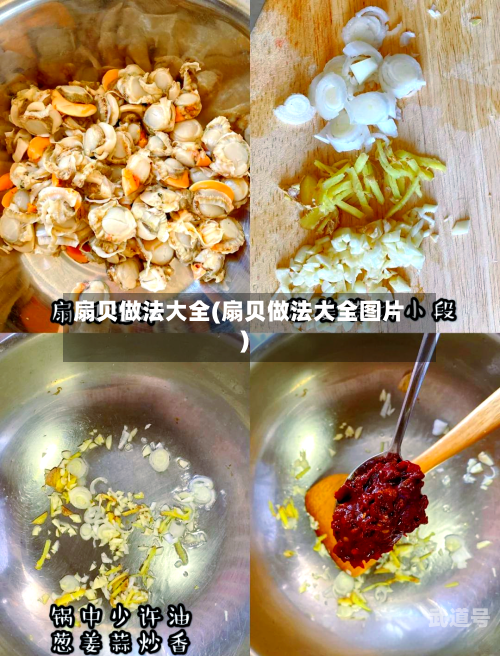 扇贝做法大全(扇贝做法大全图片)