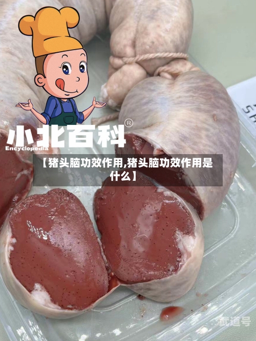 【猪头脑功效作用,猪头脑功效作用是什么】