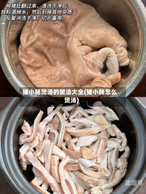 猪小肠煲汤的做法大全(猪小肠怎么煲汤)