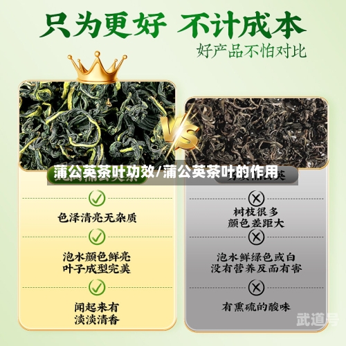 蒲公英茶叶功效/蒲公英茶叶的作用
