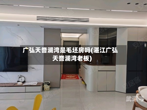 广弘天誉澜湾是毛坯房吗(湛江广弘天誉澜湾老板)-第2张图片