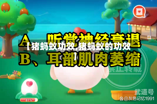【猪蚂蚁功效,猪蚂蚁的功效】