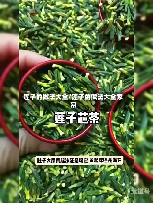 莲子的做法大全/莲子的做法大全家常