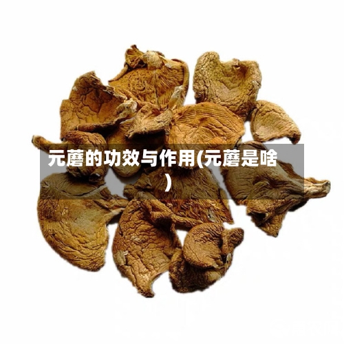 元蘑的功效与作用(元蘑是啥)