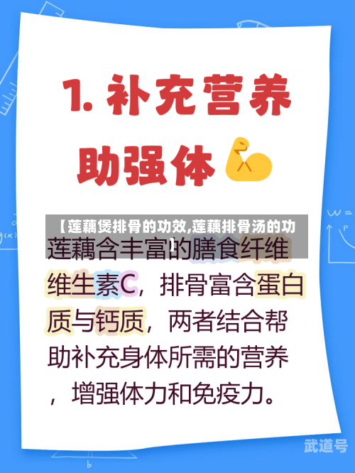 【莲藕煲排骨的功效,莲藕排骨汤的功】